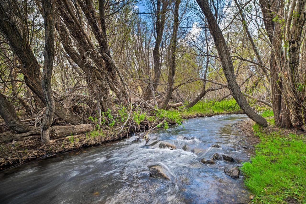 Mammoth Lakes Nature Escape Hot Tub Access! Εξωτερικό φωτογραφία